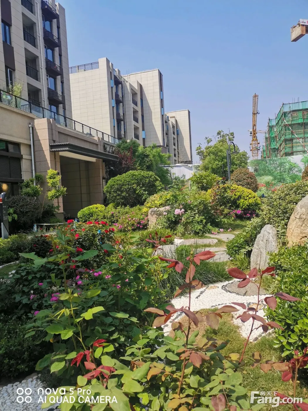 舞阳碧桂园好不好?置业顾问从项目现场发回新鲜组图