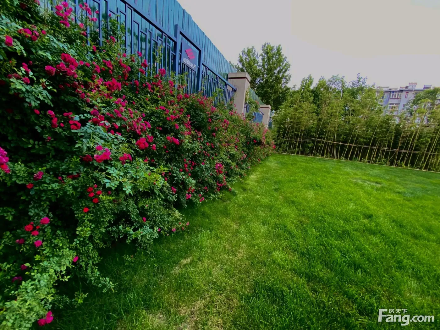 山钢·鸿悦华府好不好?置业顾问从项目现场发回新鲜组图