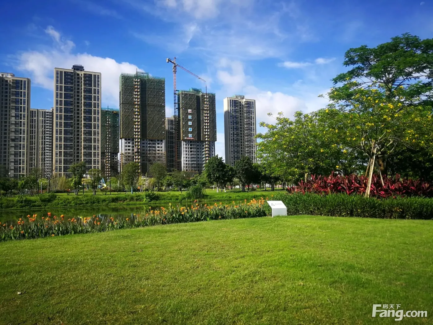 江悦城·公园里新拍现场图片,实时了解楼盘新动态!