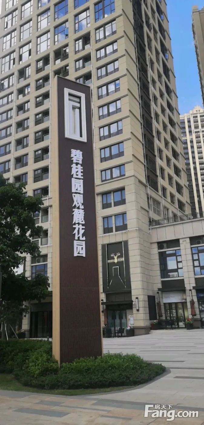 碧桂园观麓花园新拍现场谍照,实时了解楼盘新动态!
