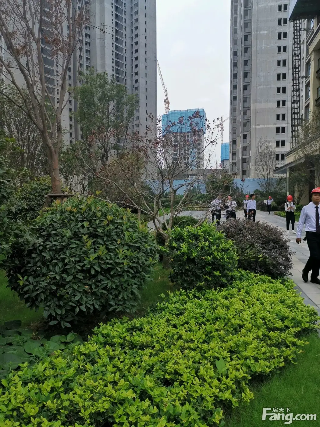金科城好不好?置业顾问从项目现场发回新鲜组图-武汉新房网-房天下