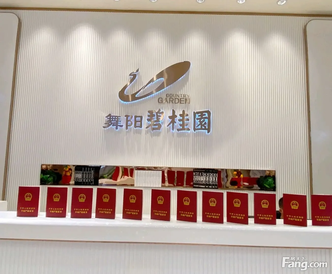 舞阳碧桂园好不好?置业顾问从项目现场发回新鲜组图