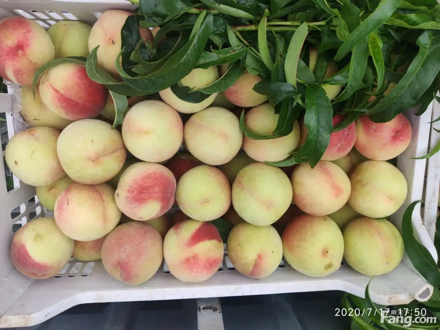 信阳美好生活家园新拍现场谍照实时了解楼盘新动态