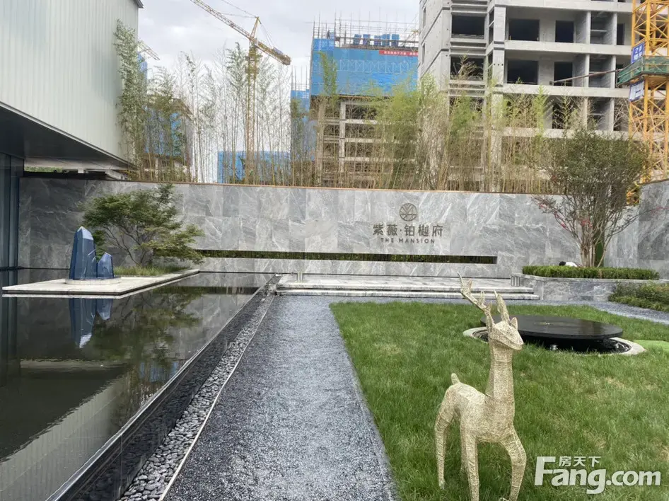 紫薇·铂樾府怎么样?看置业顾问李娟发布了一条项目新消息!