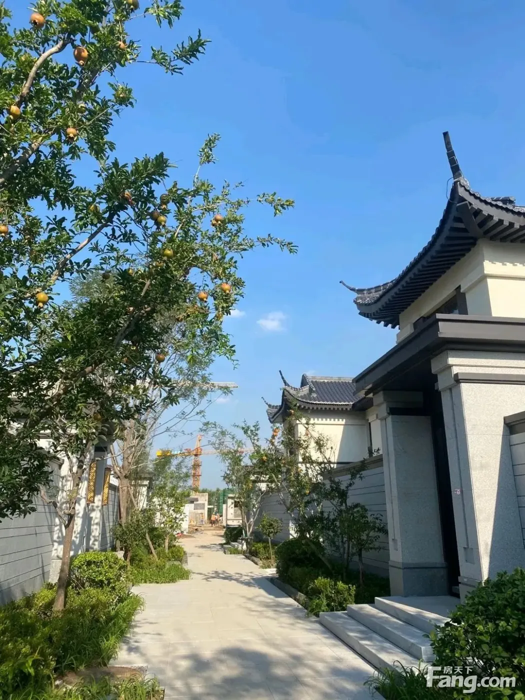 好位置合院所剩无几,想要的抓紧了