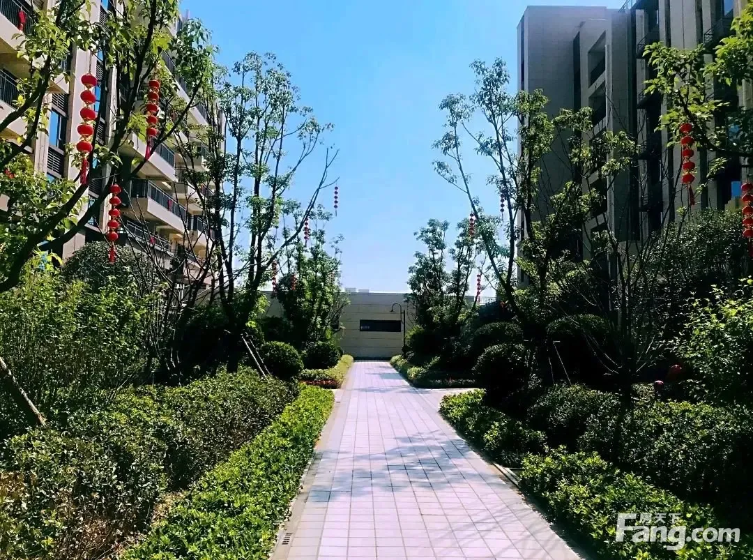 舞阳碧桂园怎么样看现场置业顾问发布了4条项目新消息