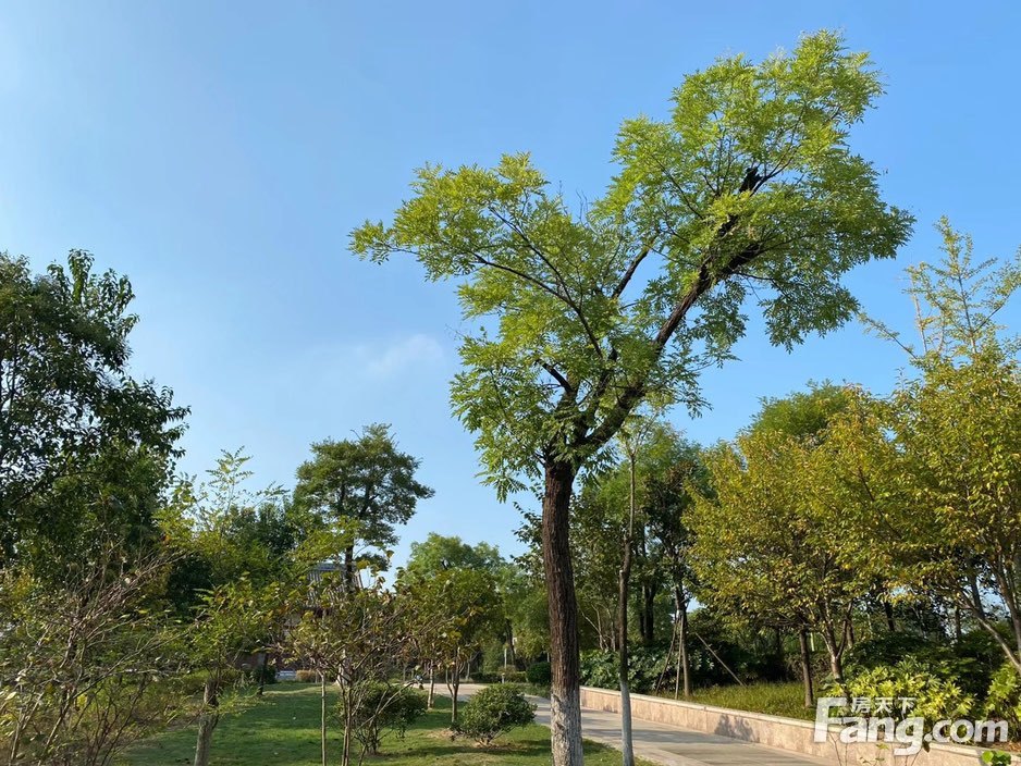 锦绣江山望府图片