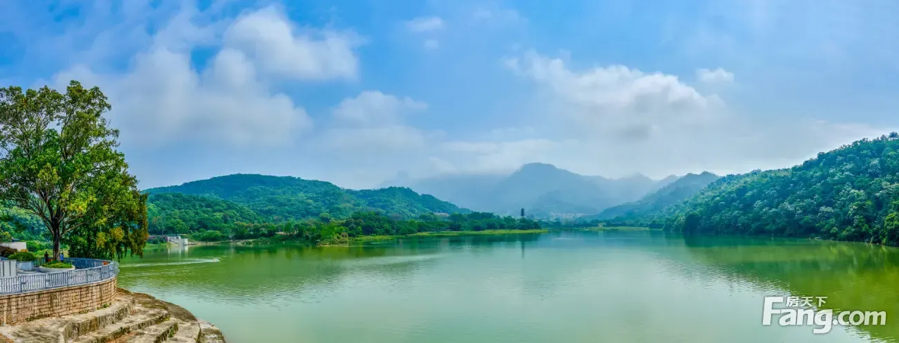 阳光城象屿登云湖新拍现场谍照实时了解楼盘新动态