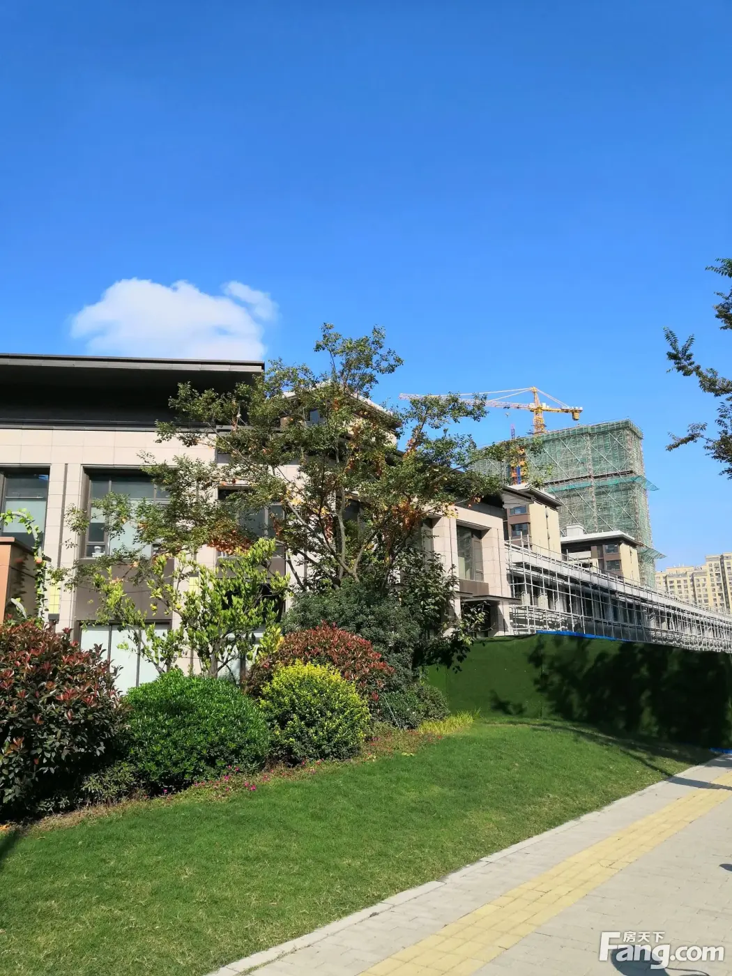 从太湖雍华府现场发来5条项目新消息请查看