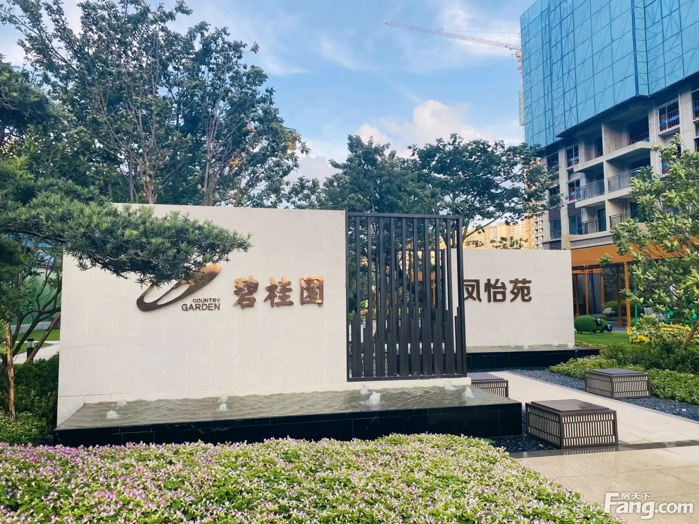 感兴趣的进-碧桂园·凤凰湾业主论坛- 佛山房天下