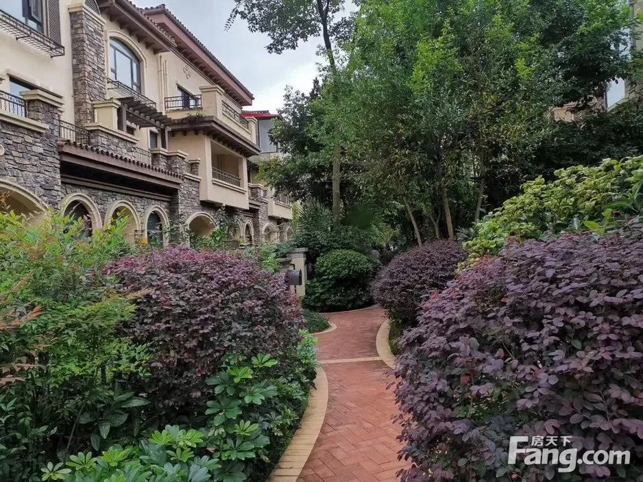 东原湖光樾墅好不好置业顾问从项目现场发回新鲜组图