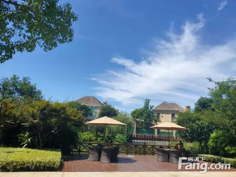 周末了,加推了,买房了5000亩生态湿地大盘,可以低密洋房何必高层!