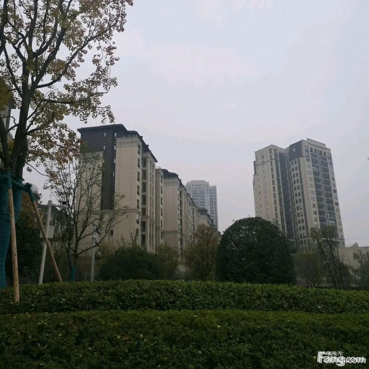 蓝光悦江府怎么样?看置业顾问董喜娟发布了一条项目新消息!