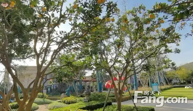 置业顾问亲自拍摄的06月福州 福清区 热门楼盘最新动态,让你感受到