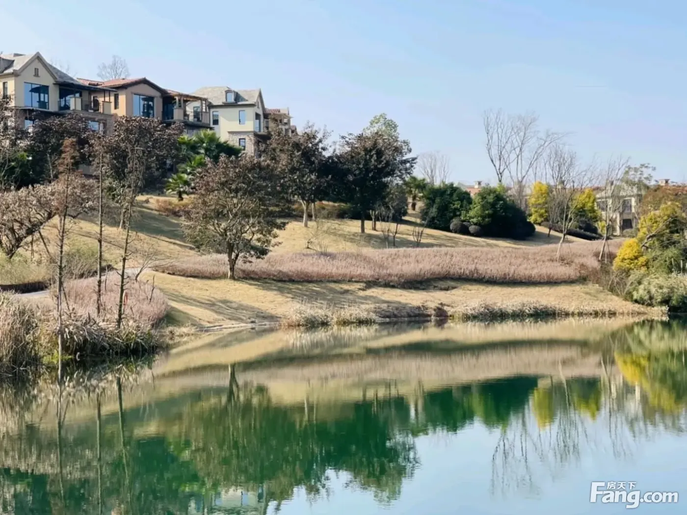 从黄龙溪谷天空屿现场发来4条项目新消息请查看