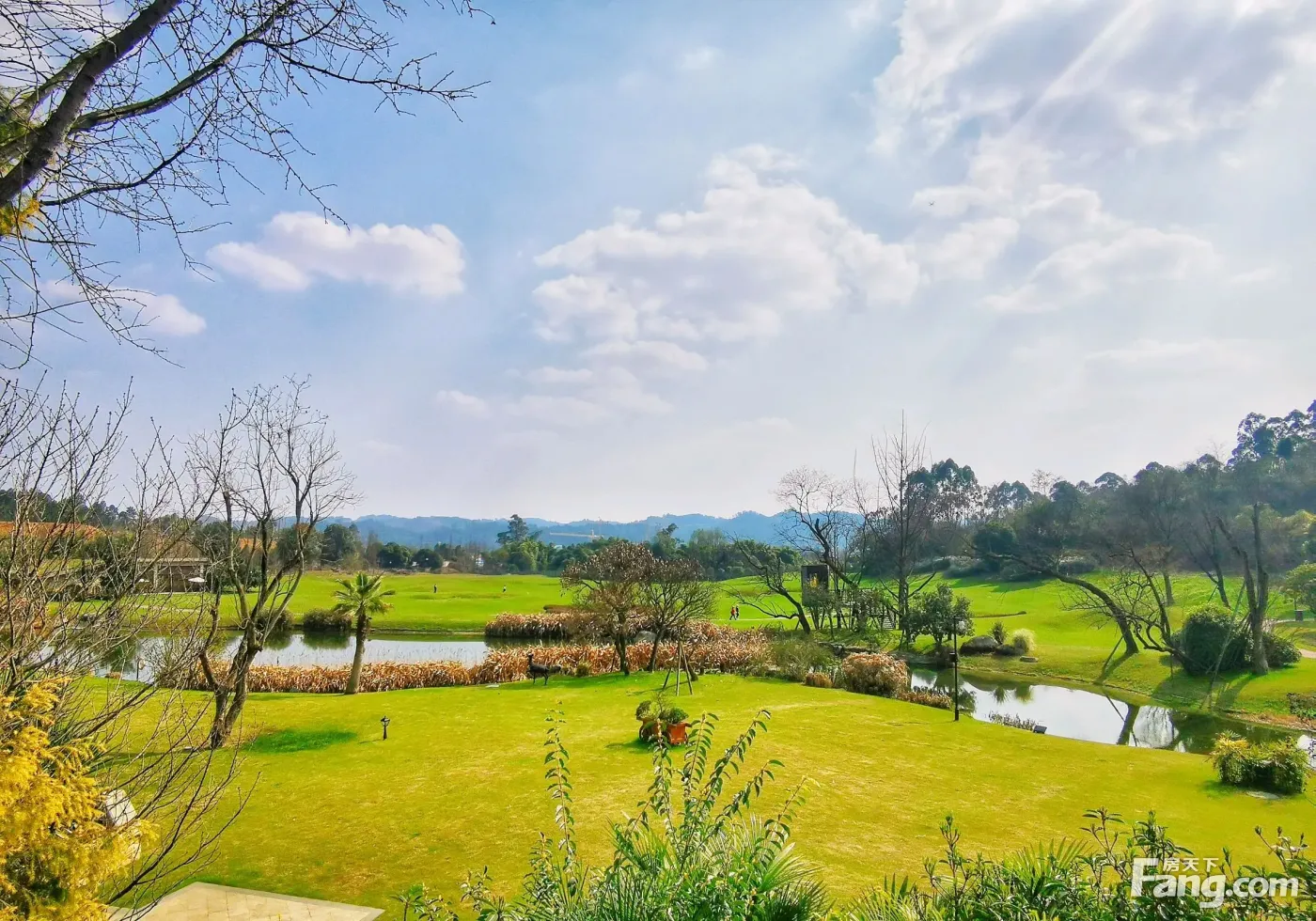 黄龙溪谷天空屿怎么样看现场置业顾问发布了3条项目新消息