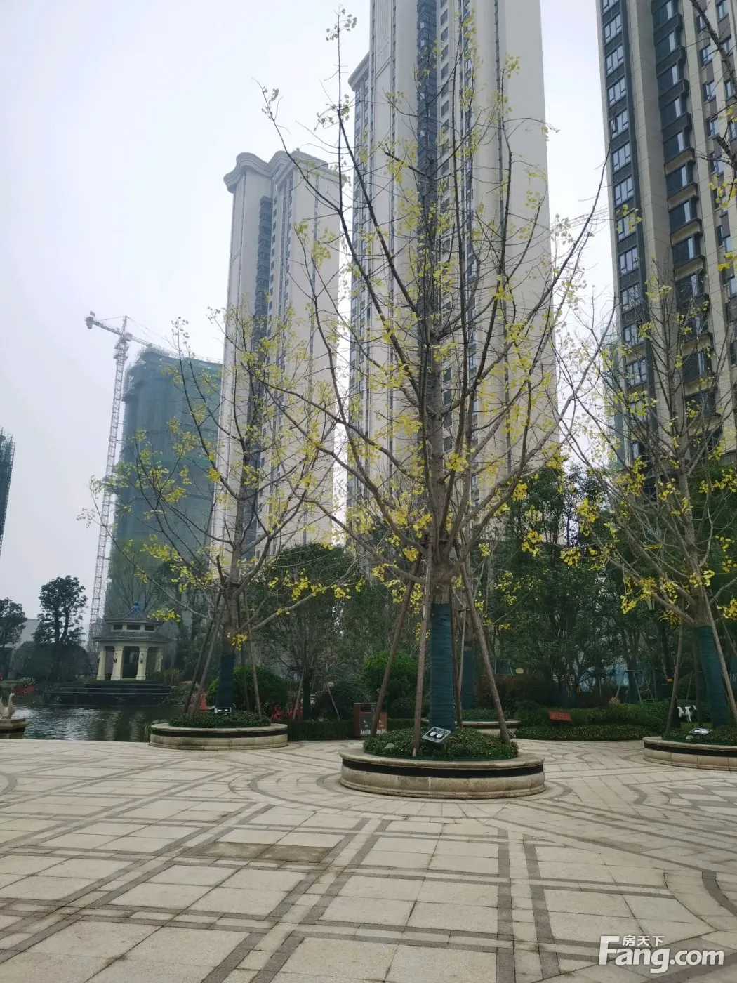 襄阳恒大翡翠珑庭怎么样看现场置业顾问发布了5条项目新消息