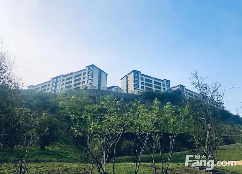 华侨城云溪别院二期怎么样看现场置业顾问发布了5条项目新消息