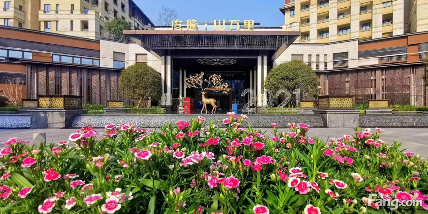 俊峰山万里新拍现场图片实时了解楼盘新动态