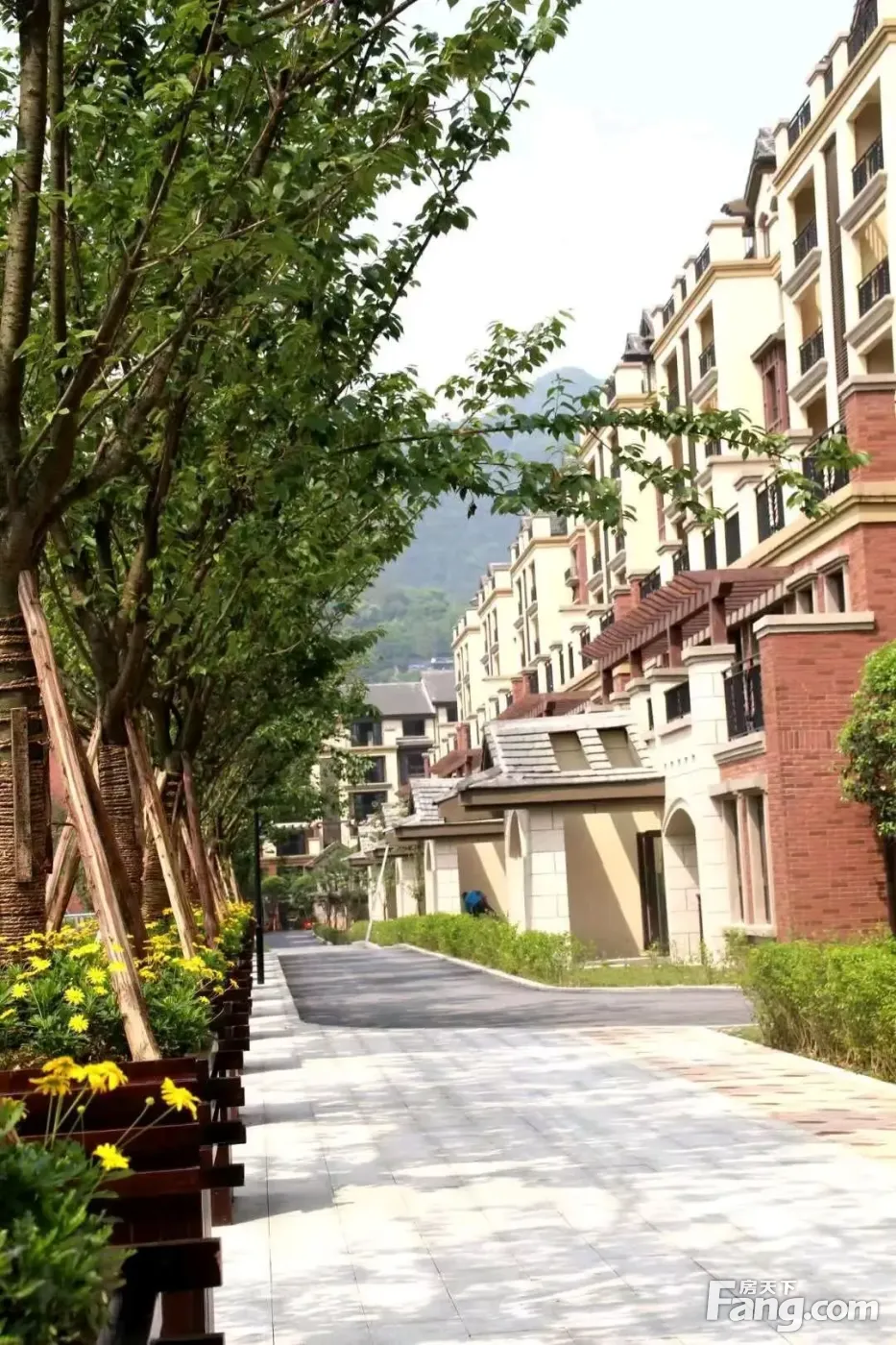 【多图分享】关于俊峰·山万里,你可能不知道的