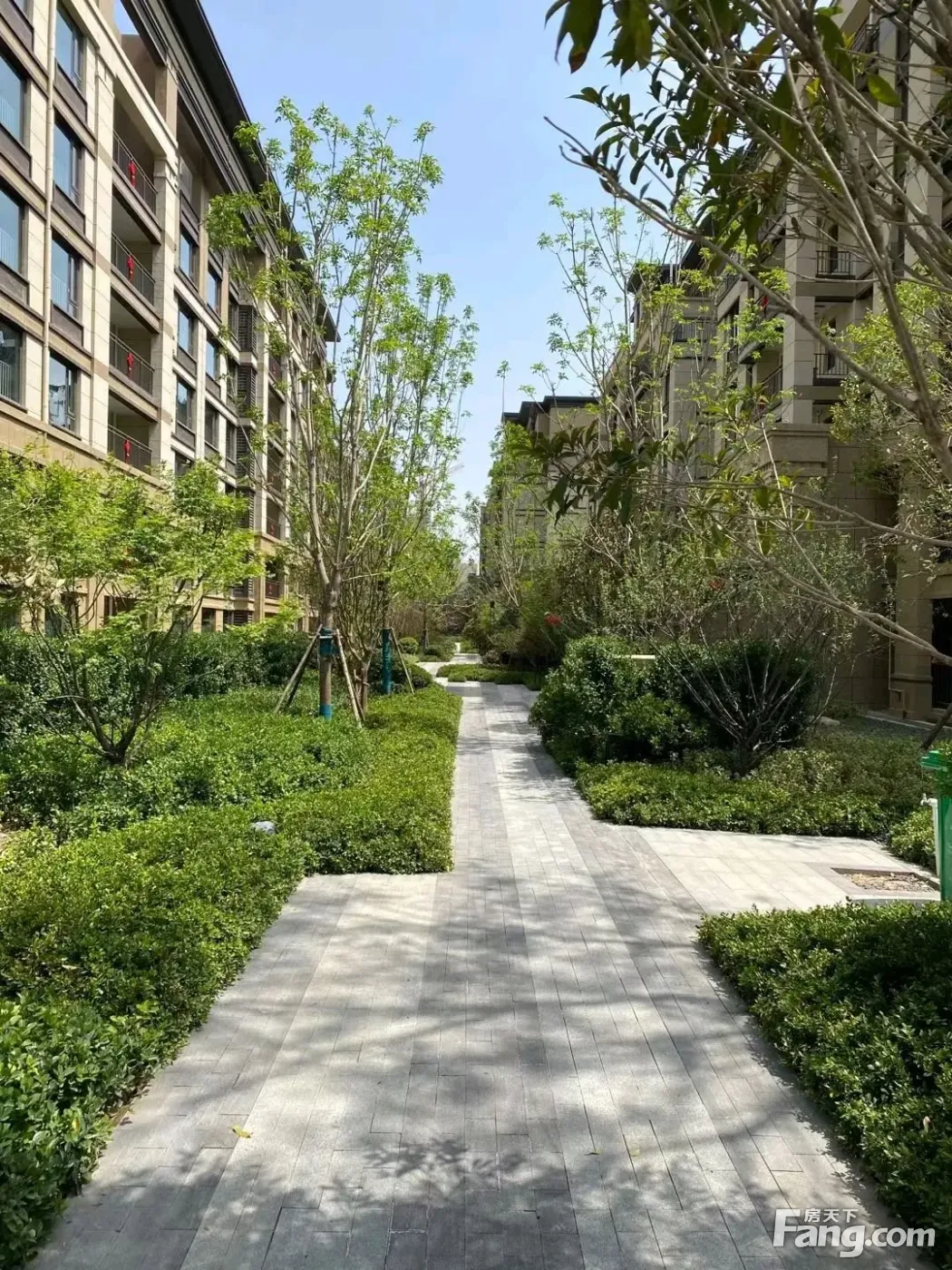 绿地花语城新拍现场谍照,实时了解楼盘新动态!-郑州新房网-房天下