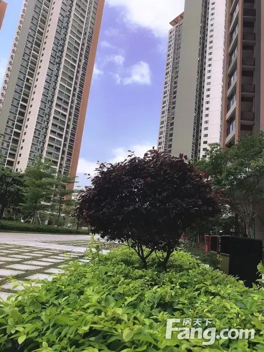 君胜熙珑山怎么样看置业顾问张莉群发布了一条项目新消息