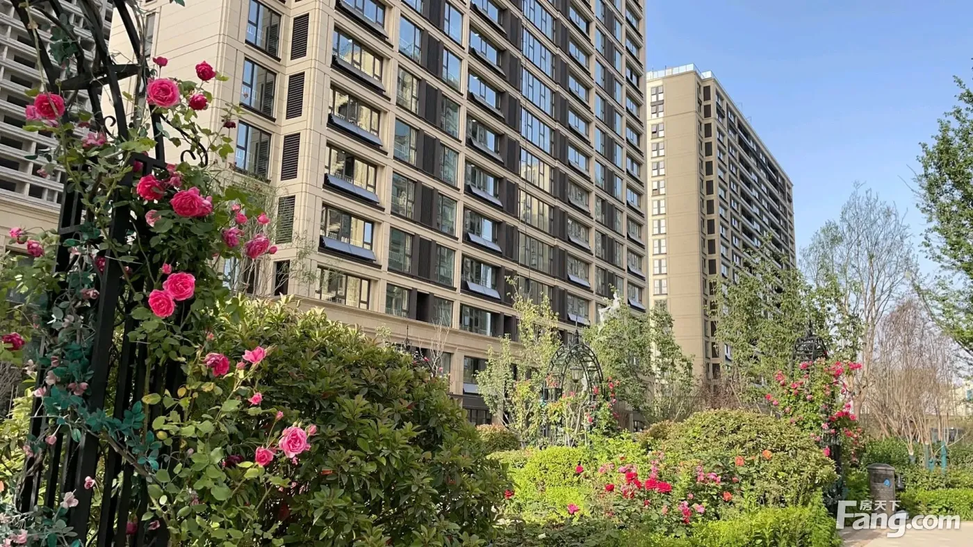 济南杨柳春风新拍现场谍照实时了解楼盘新动态