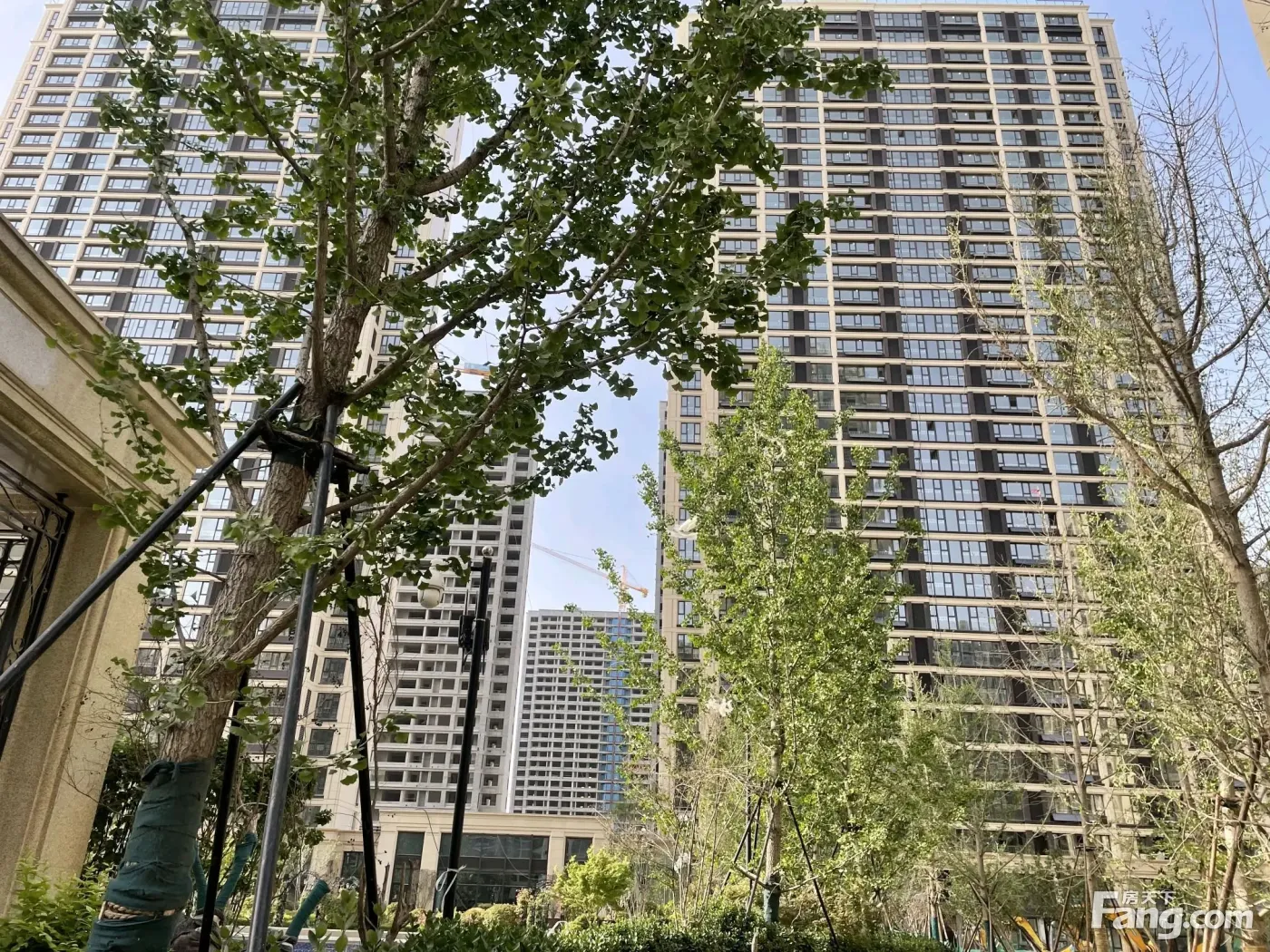 济南杨柳春风新拍现场谍照实时了解楼盘新动态