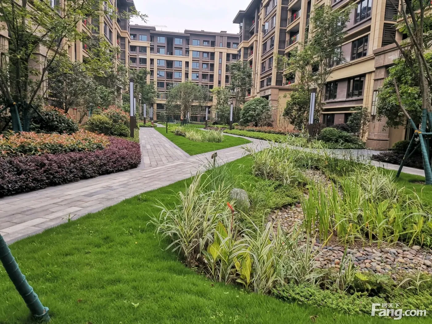 黛山道8号怎么样?看现场置业顾问发布了3条项目新消息!