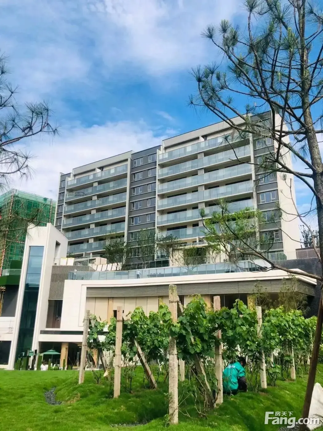 万科璞园怎么样看现场置业顾问发布了4条项目新消息