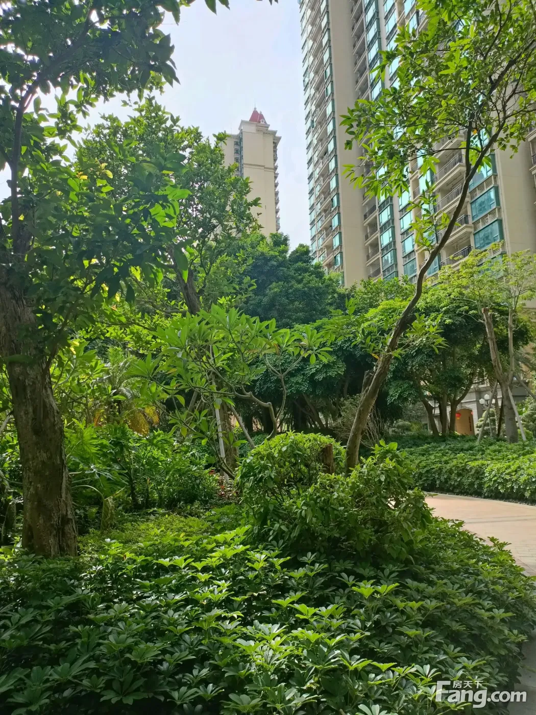 北海恒大小区绿化环境
