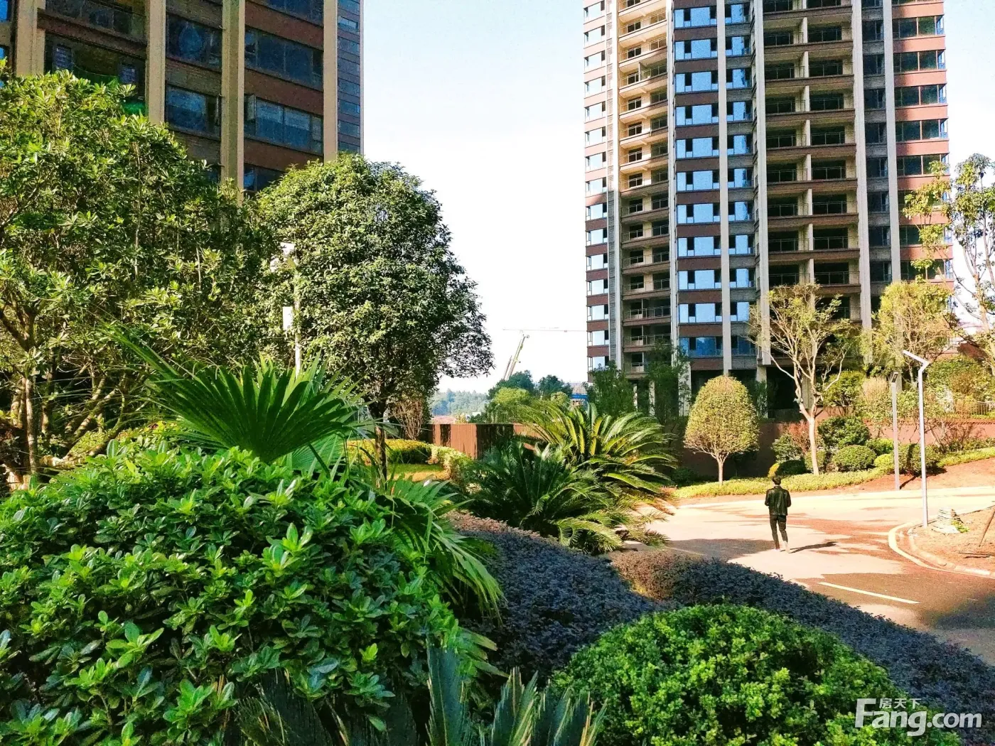 从合兴新城现场发来5条项目新消息,请查看!-耒阳新房网-房天下