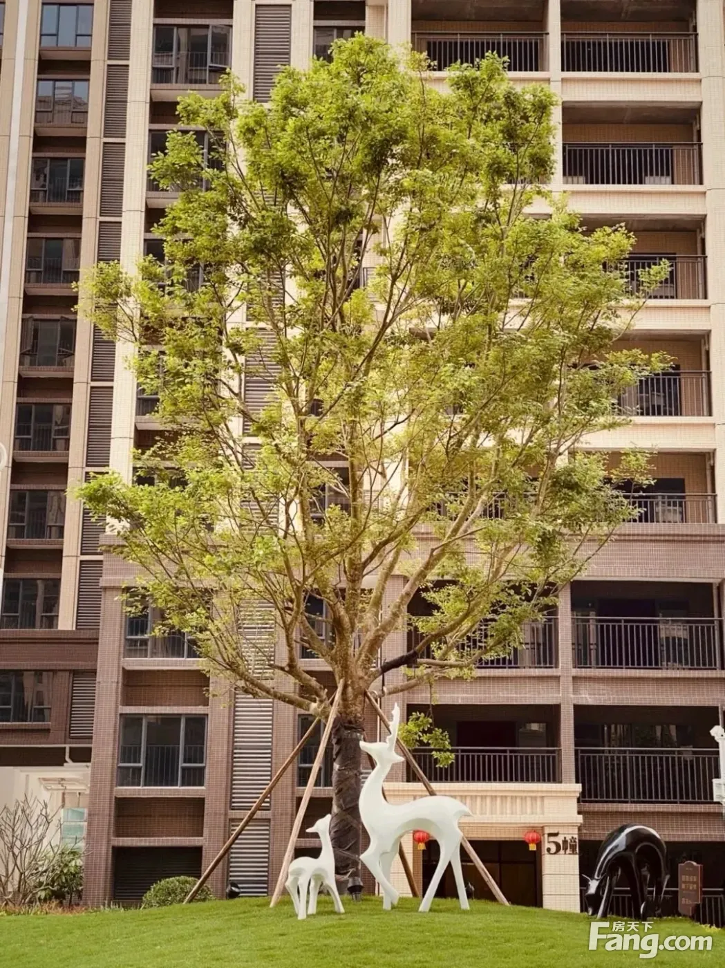 汇成凯悦华府新拍现场图片实时了解楼盘新动态