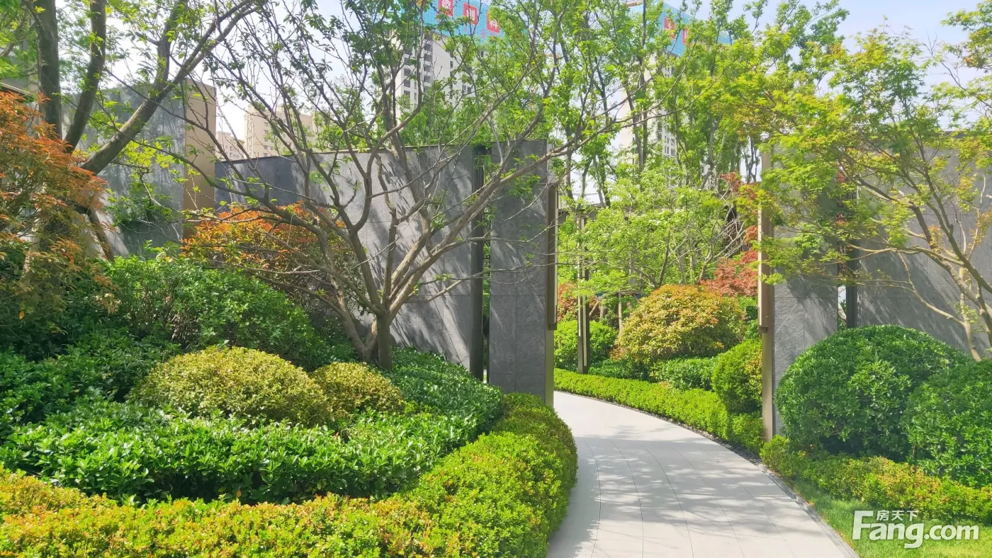 青岛龙湖天奕好不好置业顾问从项目现场发回新鲜组图