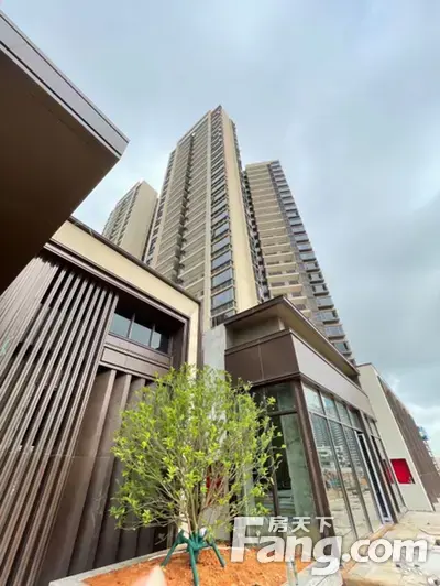 茂名保利奥体大都汇新拍现场谍照实时了解楼盘新动态