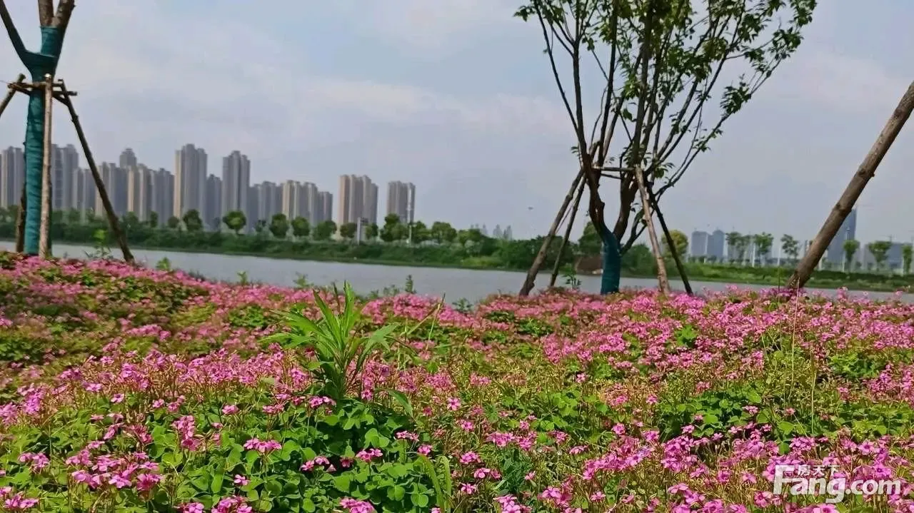 房天下>武汉新房>楼盘资讯>正文>海格公馆楼下就是方岛湿地公园,环境