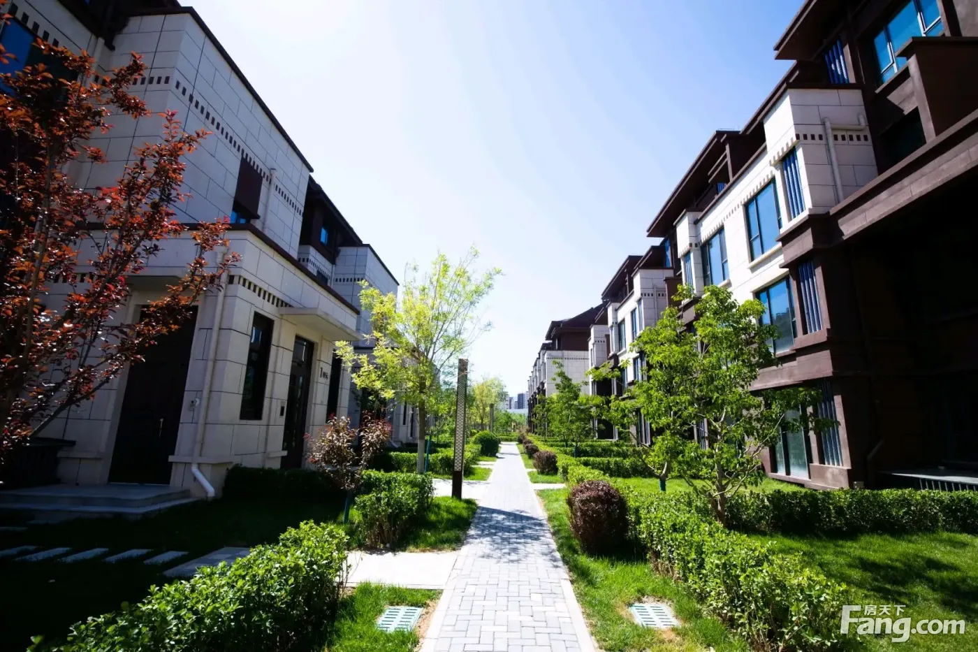 山屿西山著新拍现场谍照实时了解楼盘新动态