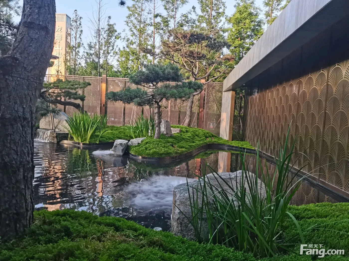 龙湖山海原著新拍现场图片实时了解楼盘新动态