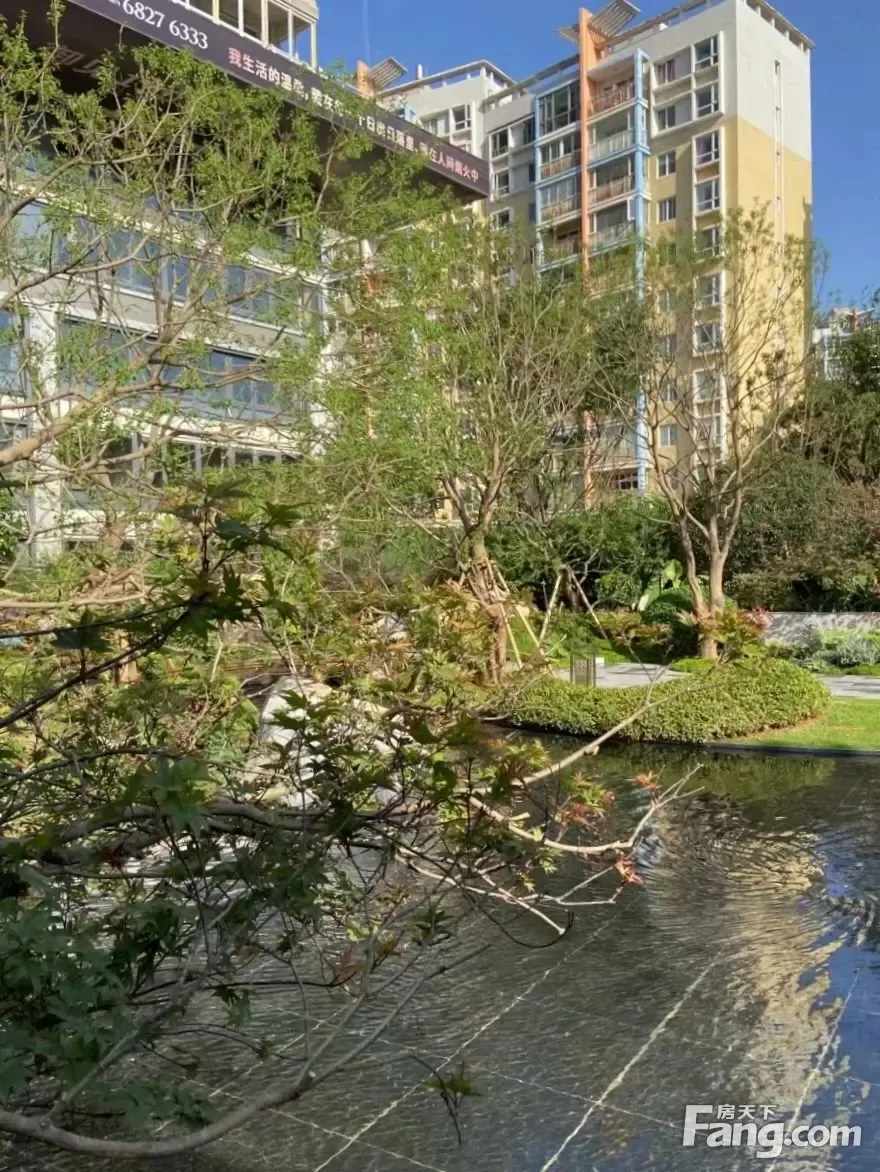 龙湖山海原著新拍现场谍照实时了解楼盘新动态