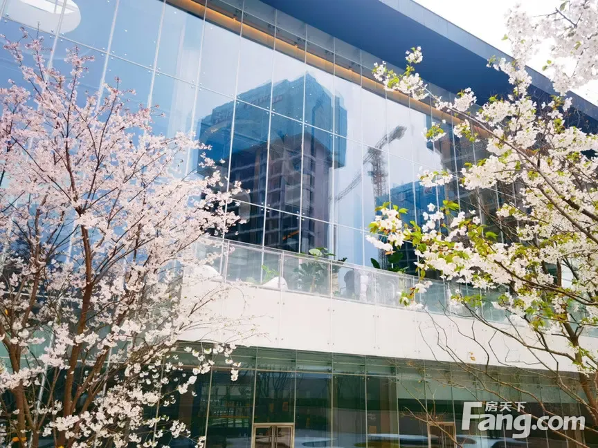 小编今天给您分享一条纯干货,置业顾问从金泰·唐618售楼处现场发来的