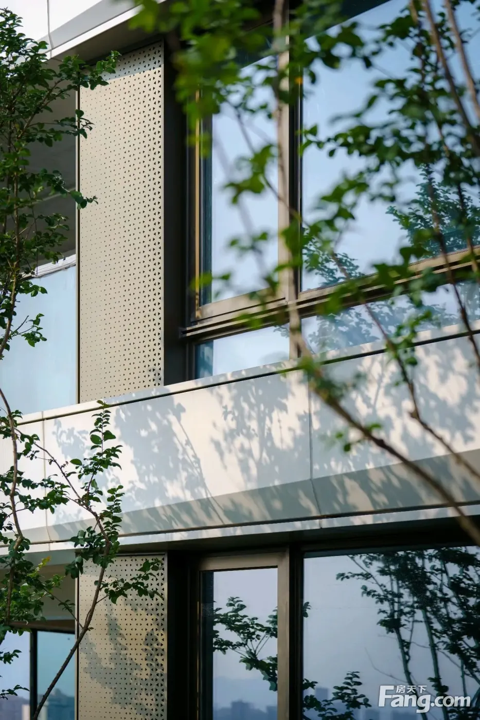 铂悦滨江新拍现场图片实时了解楼盘新动态