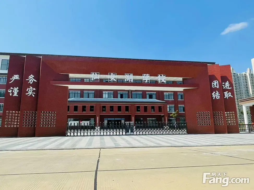 仙女湖小学改名为实验小学仙女湖校区,奥体旁桃源4688收官之作,你值得