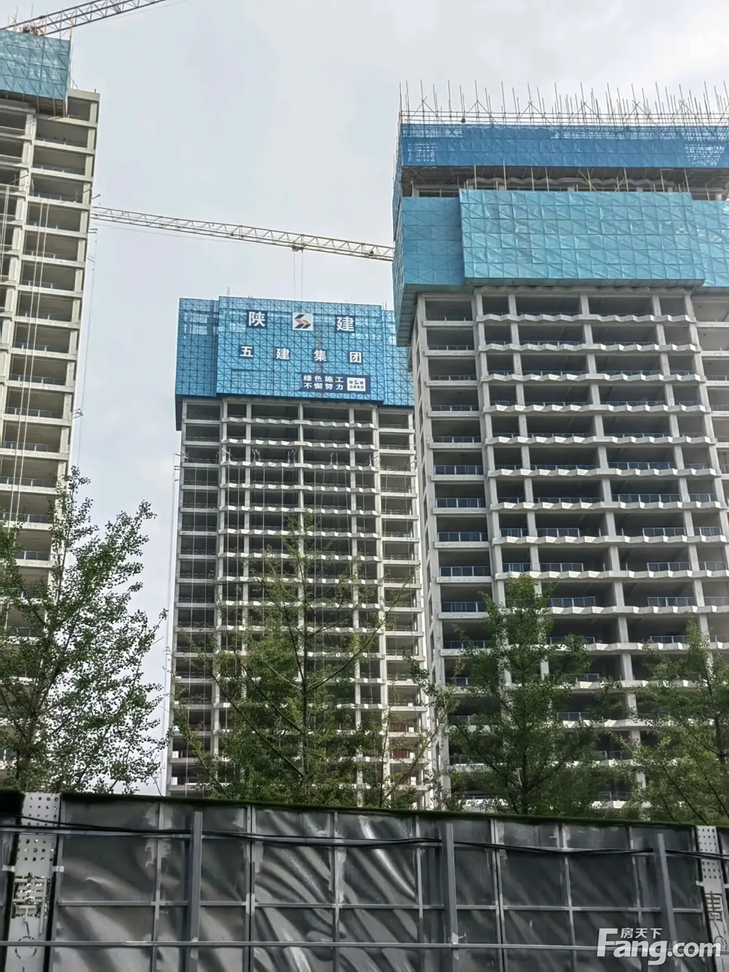 金泰唐618新拍现场谍照实时了解楼盘新动态