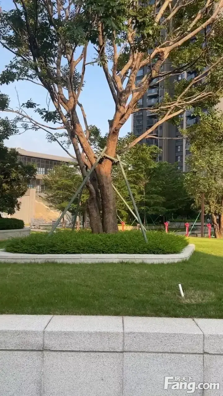 安居臻悦花园新拍短视频实时了解楼盘新动态