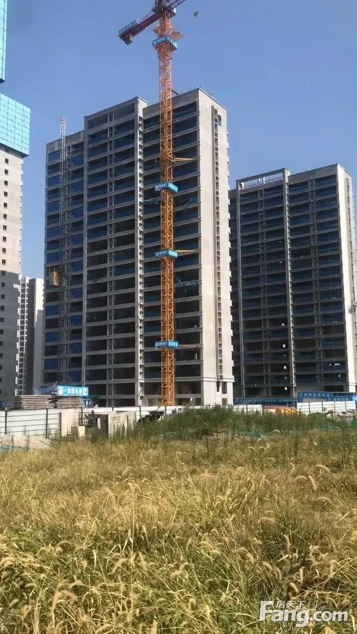 从麓谷山湖郡现场发来3条项目新消息请查看