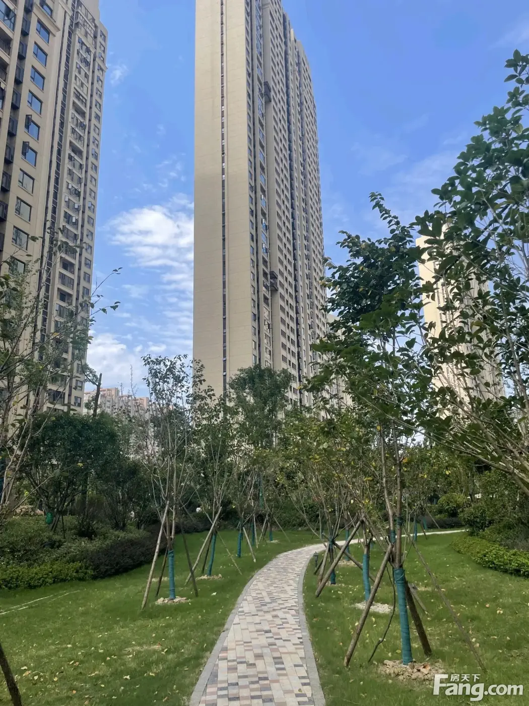 武汉城建星河2049星里城新拍现场图片实时了解楼盘新动态