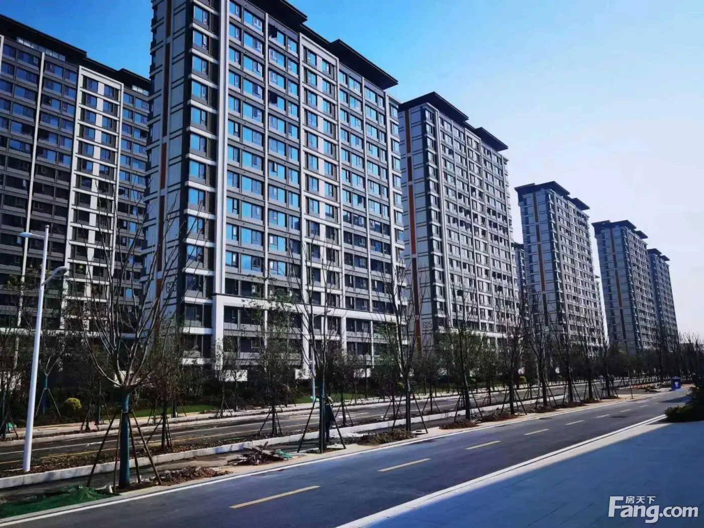 招商东望府新拍现场图片实时了解楼盘新动态