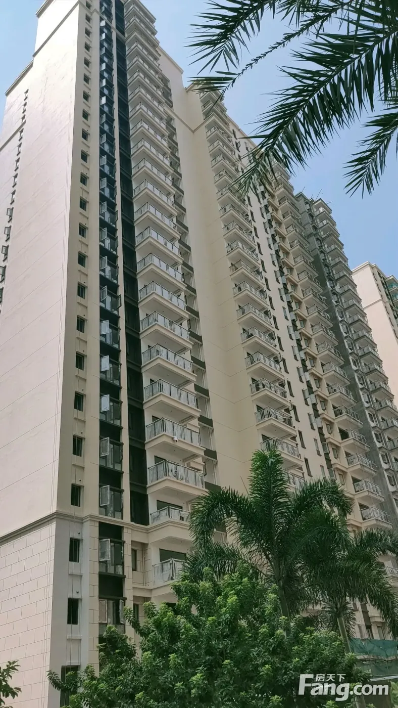 湛江金地自在城新拍现场谍照实时了解楼盘新动态