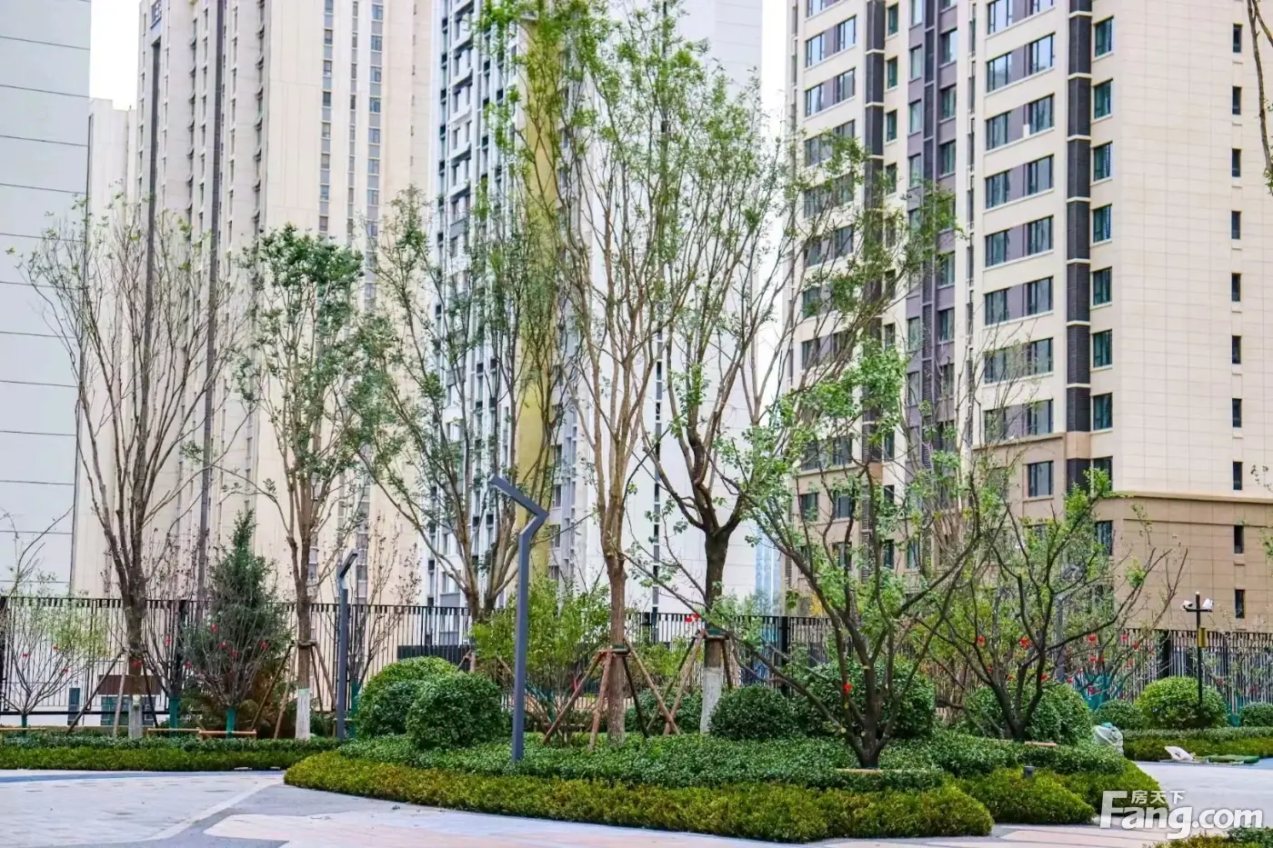 保利金地迎泽上品好不好置业顾问从项目现场发回新鲜组图