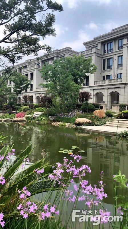 龙山观邸业主论坛- 上虞房天下